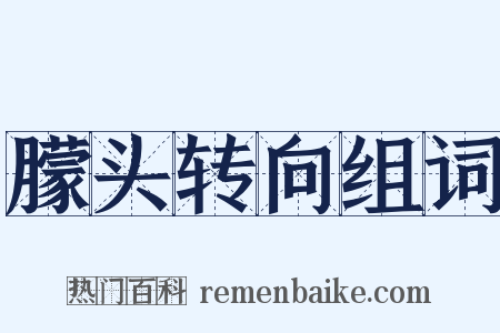 朦头转向组词是什么意思的图片
